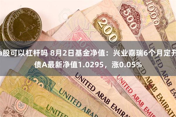 a股可以杠杆吗 8月2日基金净值：兴业嘉瑞6个月定开债A最新净值1.0295，涨0.05%