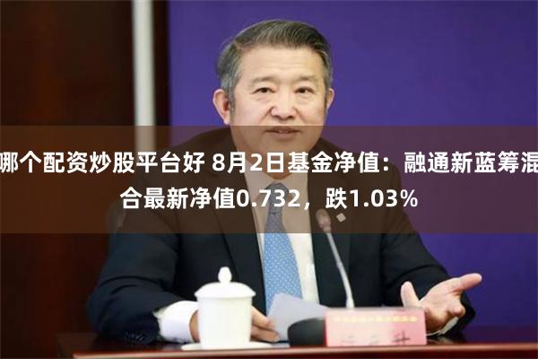 哪个配资炒股平台好 8月2日基金净值：融通新蓝筹混合最新净值0.732，跌1.03%