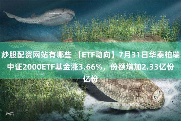 炒股配资网站有哪些 【ETF动向】7月31日华泰柏瑞中证2000ETF基金涨3.66%，份额增加2.33亿份