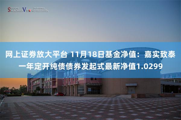 网上证劵放大平台 11月18日基金净值：嘉实致泰一年定开纯债债券发起式最新净值1.0299