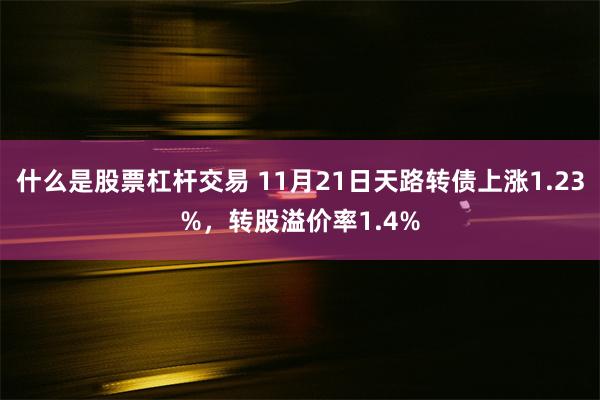 什么是股票杠杆交易 11月21日天路转债上涨1.23%，转股溢价率1.4%