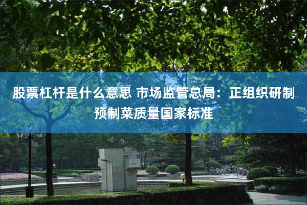 股票杠杆是什么意思 市场监管总局：正组织研制预制菜质量国家标准