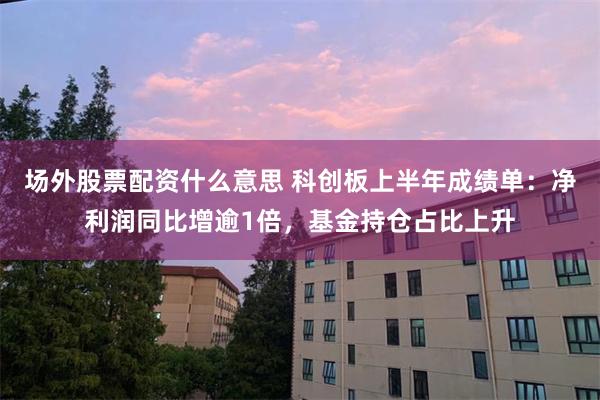 场外股票配资什么意思 科创板上半年成绩单：净利润同比增逾1倍，基金持仓占比上升