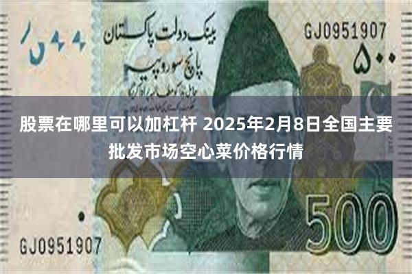 股票在哪里可以加杠杆 2025年2月8日全国主要批发市场空心菜价格行情