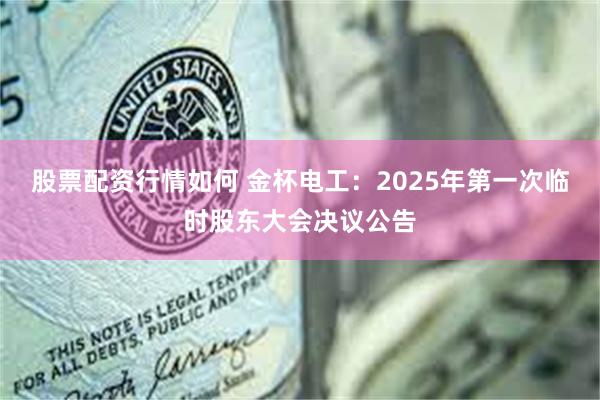 股票配资行情如何 金杯电工：2025年第一次临时股东大会决议公告