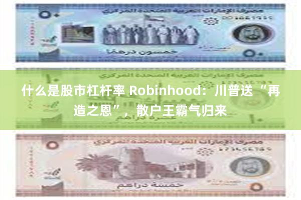 什么是股市杠杆率 Robinhood：川普送 “再造之恩”，散户王霸气归来